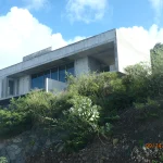 W house